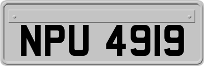 NPU4919