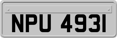 NPU4931