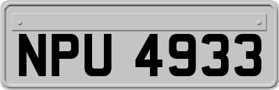 NPU4933