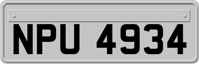 NPU4934