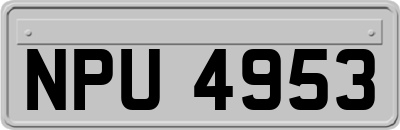 NPU4953
