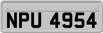 NPU4954