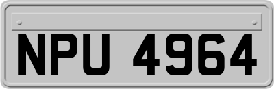 NPU4964