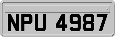 NPU4987