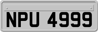 NPU4999