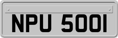 NPU5001
