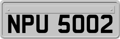 NPU5002