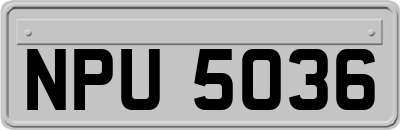 NPU5036