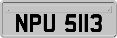 NPU5113