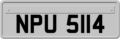 NPU5114