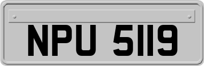 NPU5119