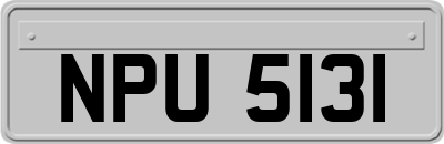 NPU5131