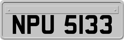 NPU5133