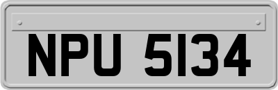 NPU5134