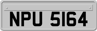 NPU5164