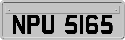 NPU5165