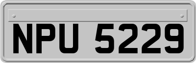 NPU5229