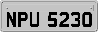 NPU5230