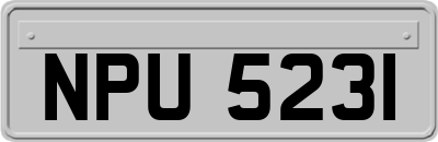 NPU5231