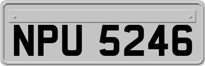 NPU5246