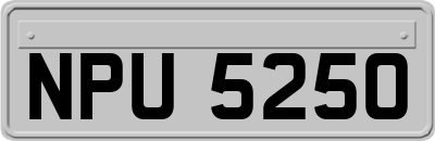 NPU5250