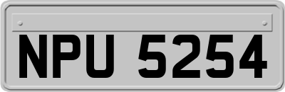 NPU5254