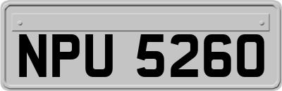 NPU5260
