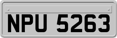 NPU5263