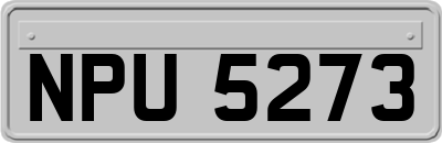 NPU5273