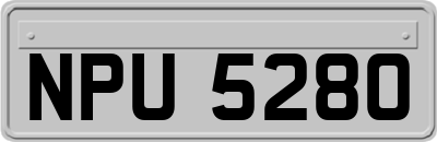 NPU5280