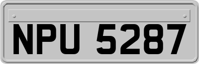 NPU5287