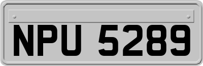 NPU5289