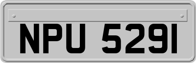 NPU5291