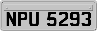 NPU5293