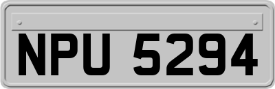 NPU5294