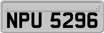 NPU5296