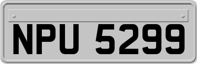NPU5299