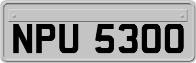 NPU5300