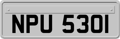 NPU5301