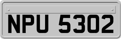 NPU5302