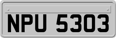 NPU5303
