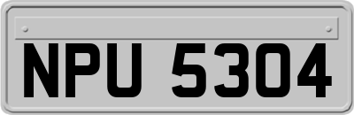 NPU5304