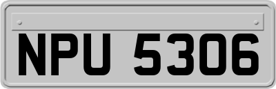 NPU5306