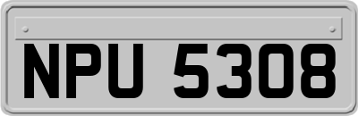 NPU5308