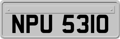 NPU5310