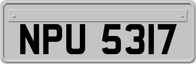 NPU5317