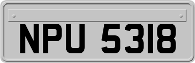 NPU5318