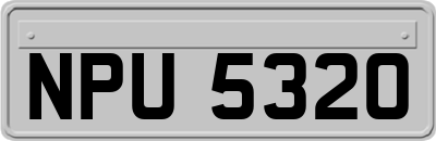 NPU5320