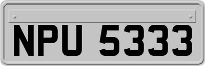 NPU5333