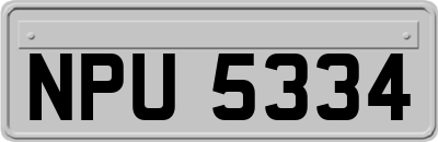 NPU5334